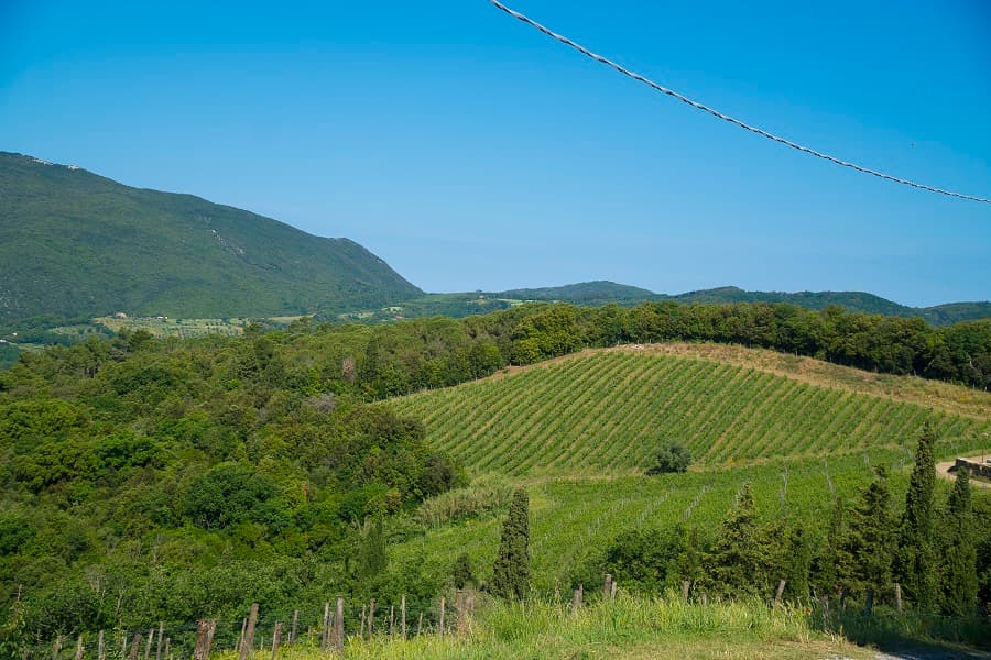 Natura e Percorsi